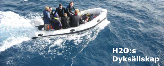 divesociety divesociety